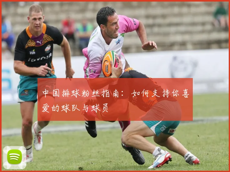中国排球粉丝指南:如何支持你喜爱的球队与球员