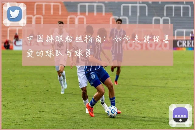 中国排球粉丝指南：如何支持你喜爱的球队与球员