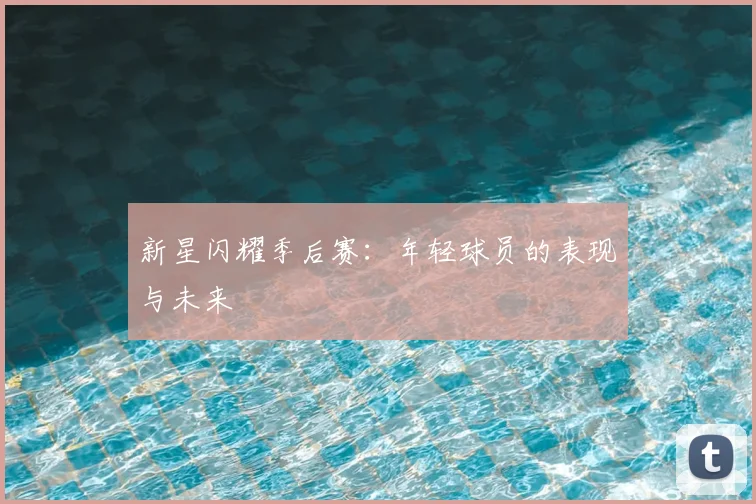 新星闪耀季后赛：年轻球员的表现与未来