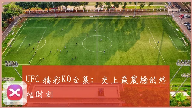 UFC 精彩KO合集：史上最震撼的终结时刻